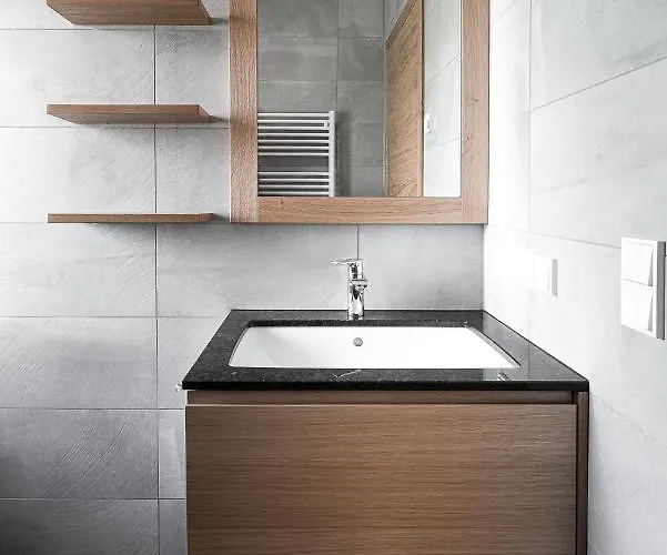 公寓 Planai Penthouse Royal 斯拉德明